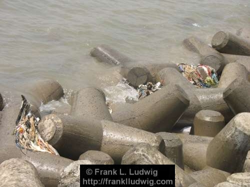 Marine Drive, Bombay, Mumbai, India